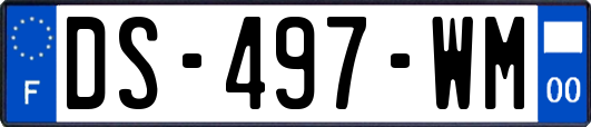 DS-497-WM