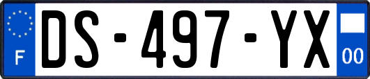 DS-497-YX