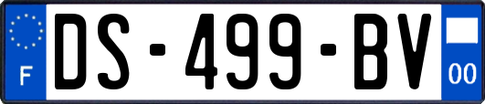 DS-499-BV