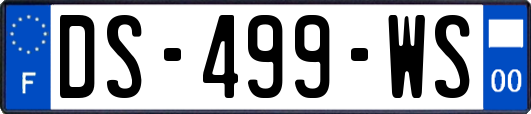 DS-499-WS