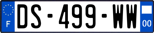DS-499-WW