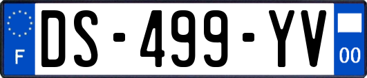 DS-499-YV