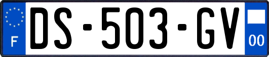 DS-503-GV