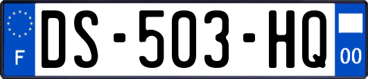 DS-503-HQ