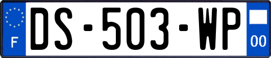 DS-503-WP