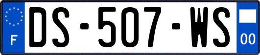 DS-507-WS