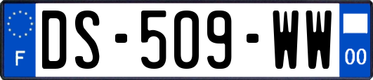 DS-509-WW