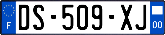 DS-509-XJ