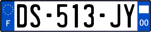 DS-513-JY
