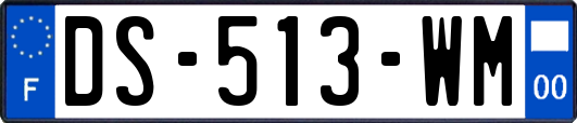 DS-513-WM