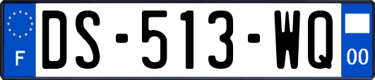 DS-513-WQ