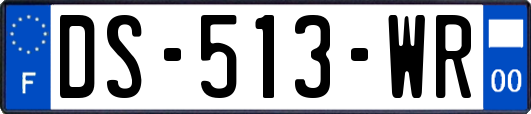 DS-513-WR