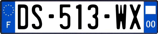 DS-513-WX