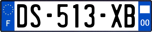 DS-513-XB