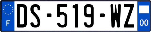 DS-519-WZ