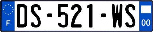 DS-521-WS