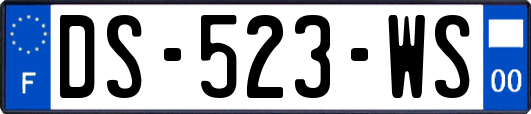 DS-523-WS