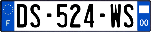 DS-524-WS