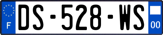 DS-528-WS