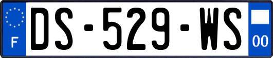 DS-529-WS