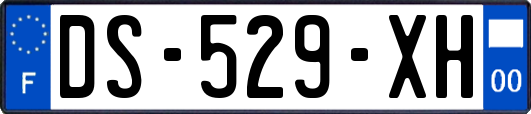 DS-529-XH