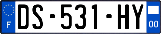 DS-531-HY