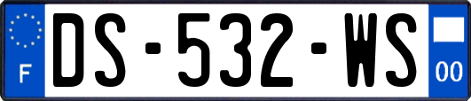 DS-532-WS