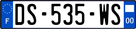 DS-535-WS