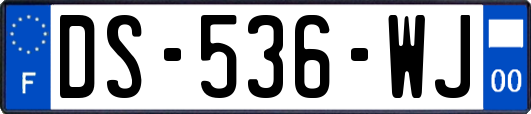 DS-536-WJ