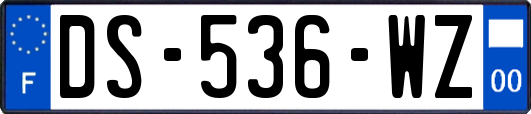DS-536-WZ