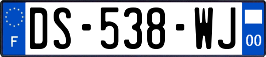 DS-538-WJ