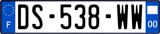 DS-538-WW