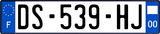 DS-539-HJ