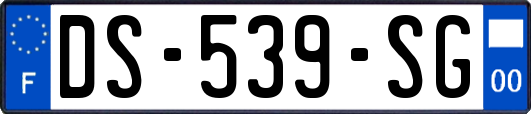 DS-539-SG