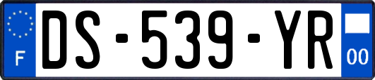 DS-539-YR