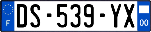 DS-539-YX