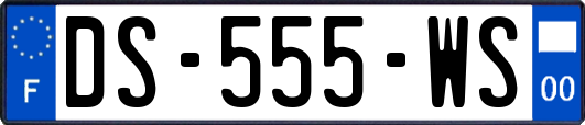 DS-555-WS
