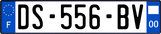 DS-556-BV