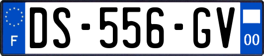 DS-556-GV