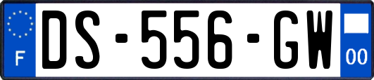 DS-556-GW