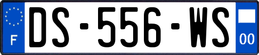 DS-556-WS