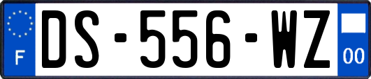 DS-556-WZ