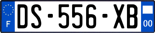 DS-556-XB