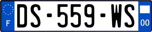 DS-559-WS