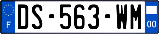 DS-563-WM