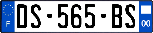 DS-565-BS