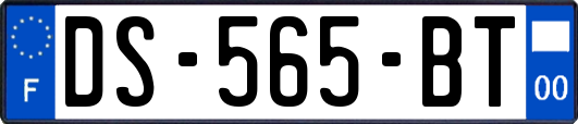 DS-565-BT
