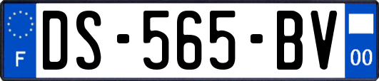 DS-565-BV