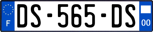 DS-565-DS