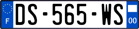 DS-565-WS